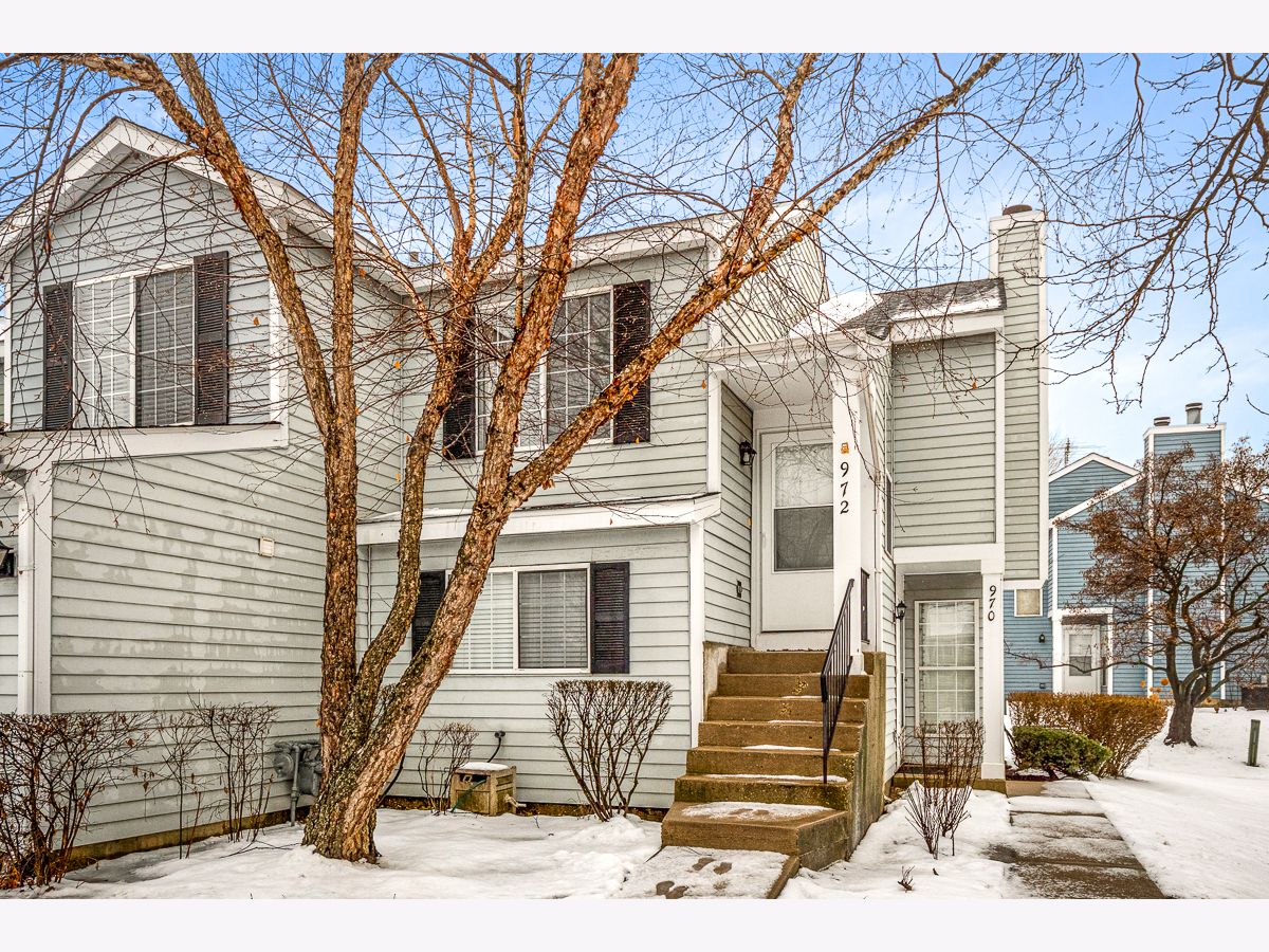 Townhomes & Condos & Homes Rented Summit Place Schaumburg Illinois, 972 Mallard