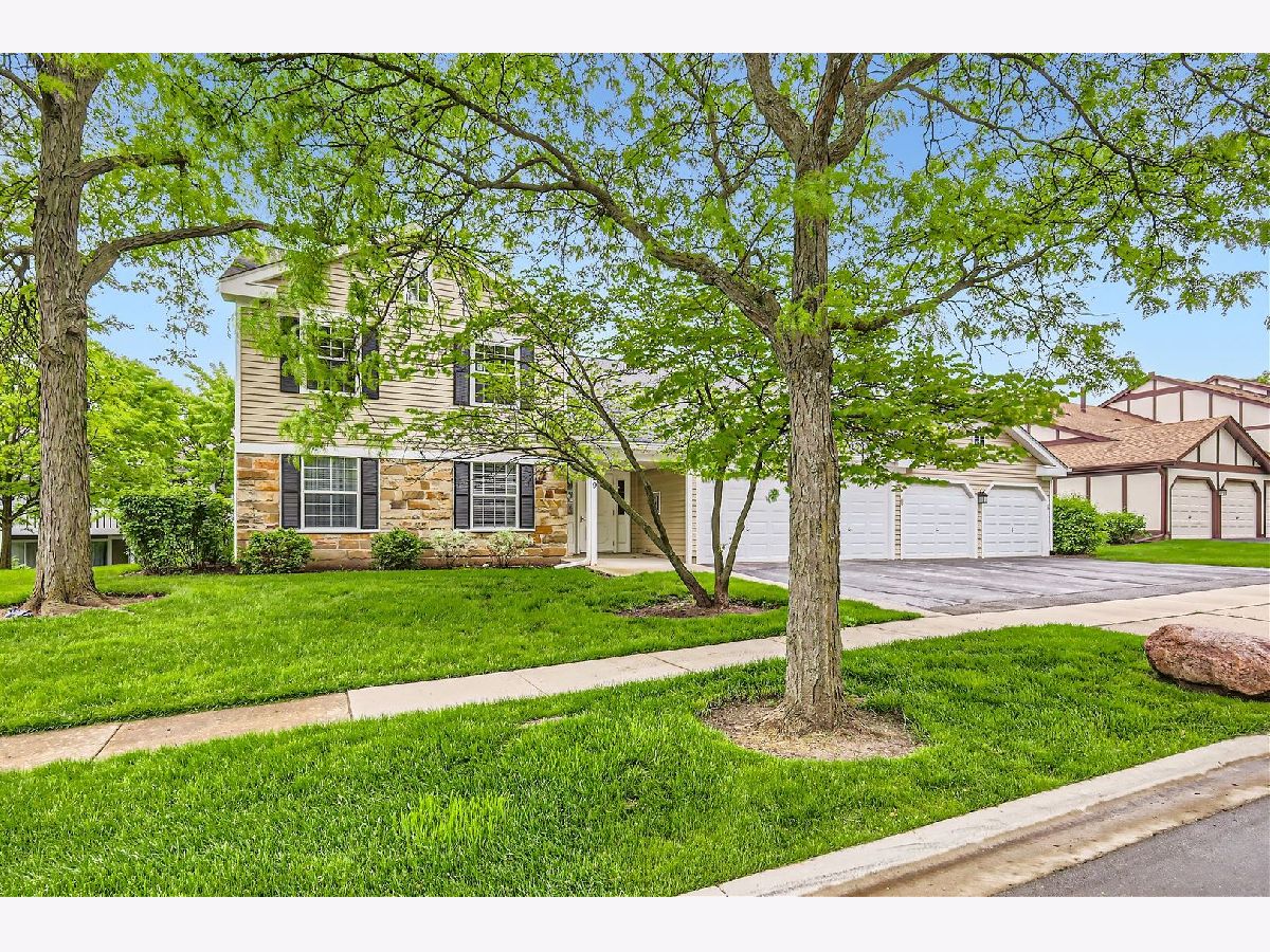 Condominiums & Homes Sold Lexington Lane Schaumburg Illinois, 29 Illinois
