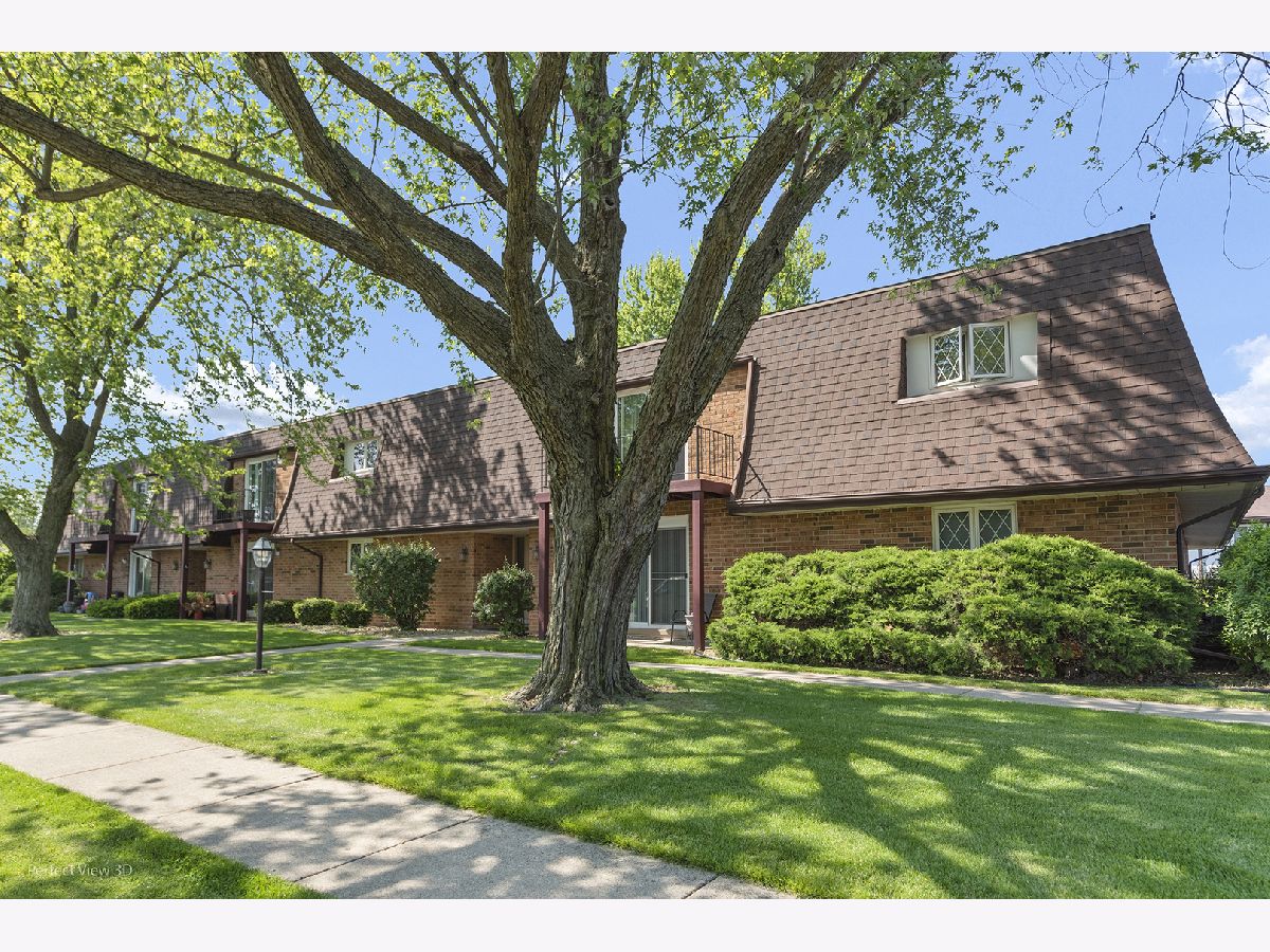 Homes & Condos & Townhomes Sold Country Creek New Lenox Illinois, 1019 Shagbark