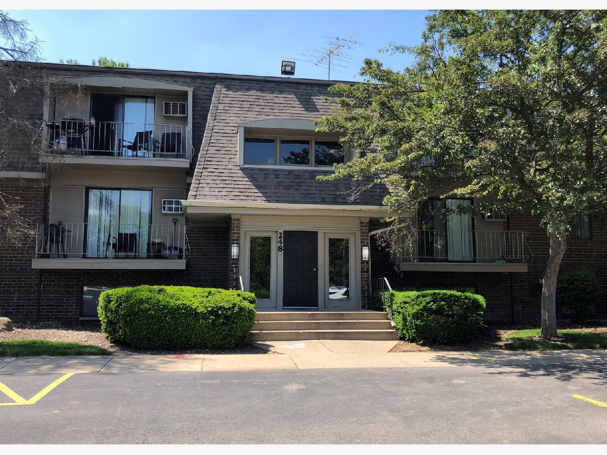 Condominiums Rented Olive Trees Naperville Illinois, 248 Bailey