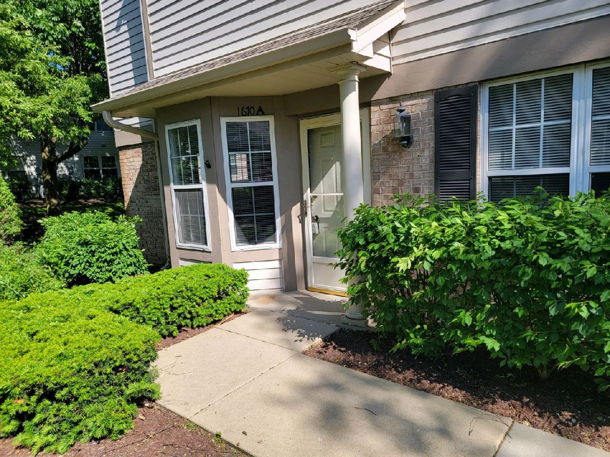 Townhomes & Condos Rented Briar Pointe Schaumburg Illinois, 1670 Autumn