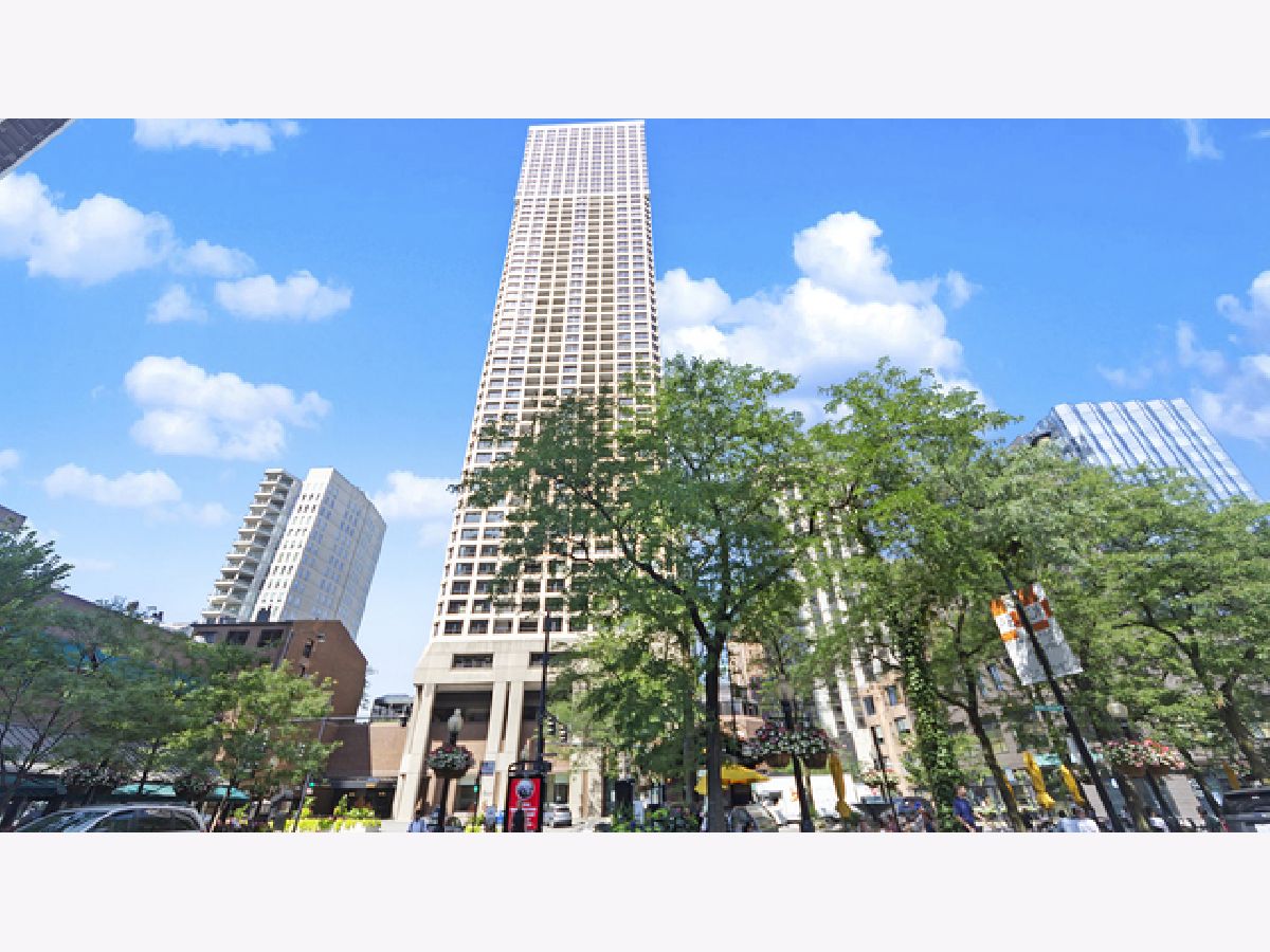 Condos & Townhomes Rented Newberry Plaza Chicago Illinois, 1030 State