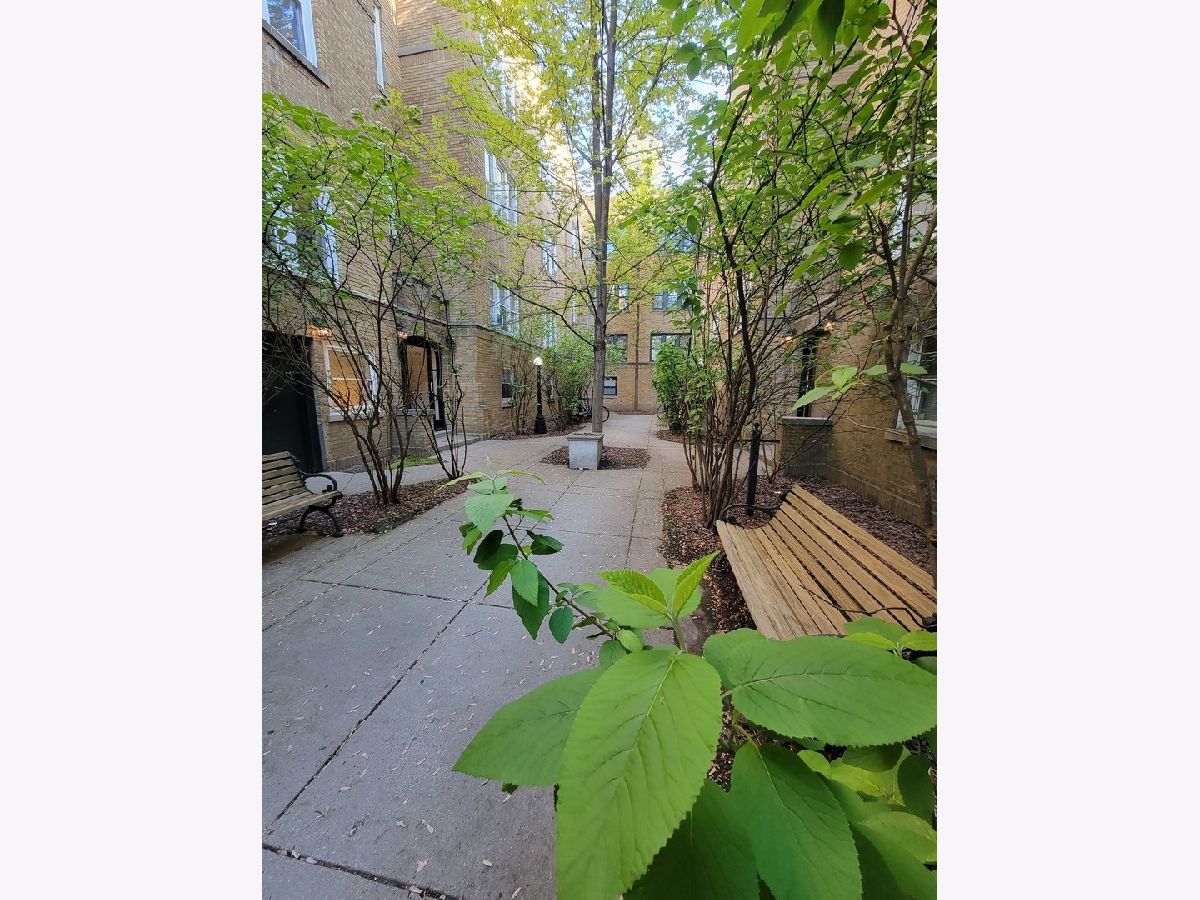 Condominiums & Homes Rented Lincoln Park 2520 Chicago Illinois, 677.5 Wrightwood