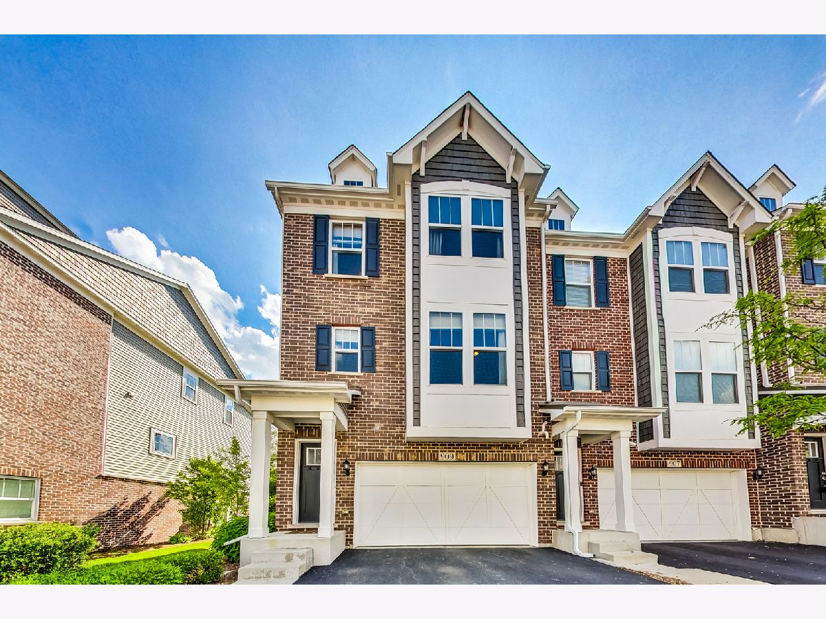 Condos & Townhomes Sold Columbia Park Townes Naperville Illinois, 909 Coletta