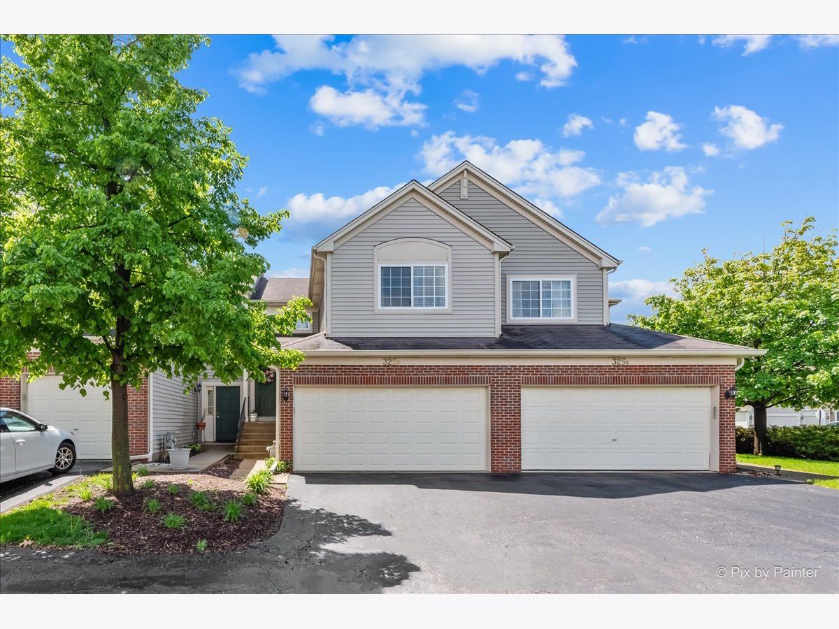 Townhomes & Homes Sold Thornwood Grove South Elgin Illinois, 325 Thornwood