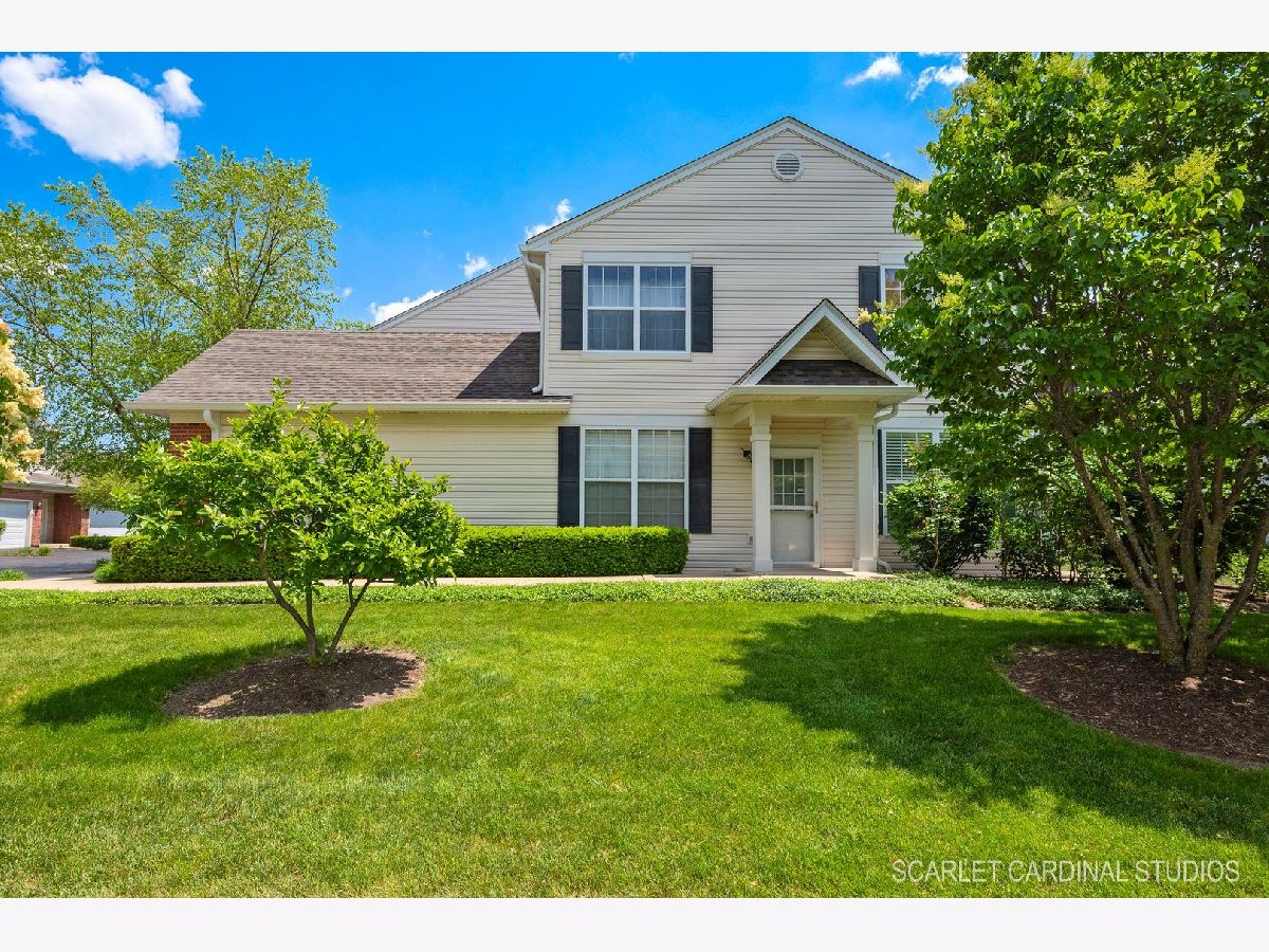 Townhomes & Homes Rented Blackberry Knoll Oswego Illinois, 342 Grape Vine
