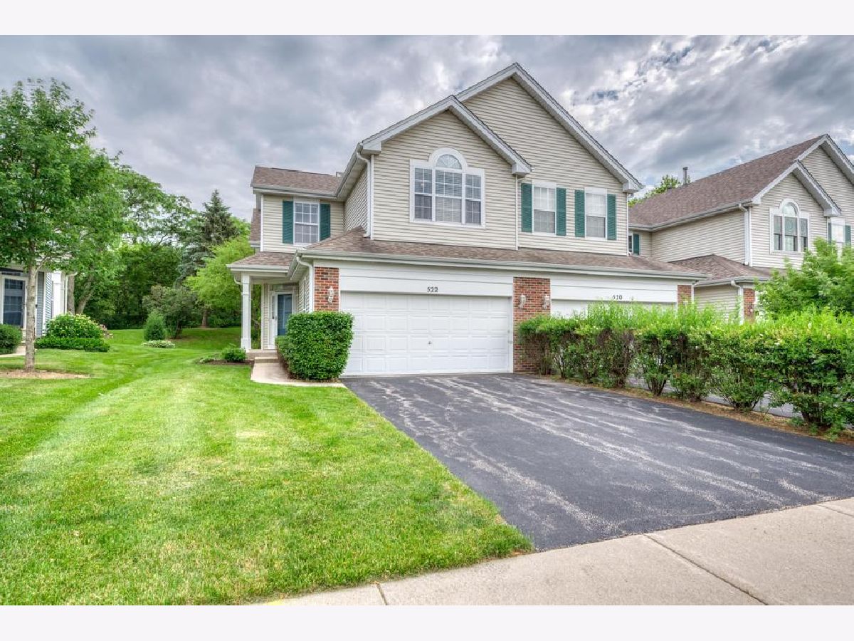 Townhomes & Homes Sold Reserve Of East Dundee East Dundee Illinois, 522 King