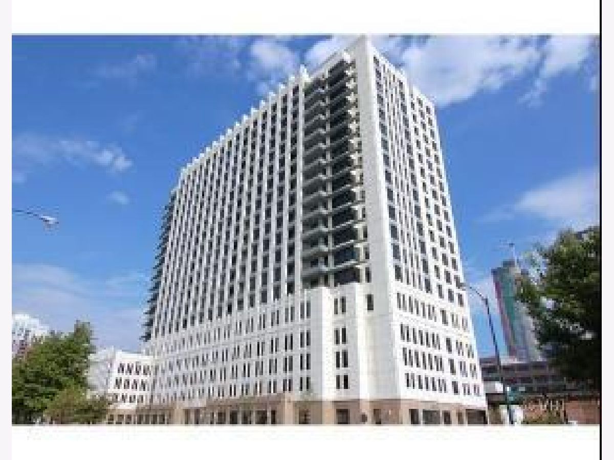Condominiums Rented Vision On State Chicago Illinois, 1255 State