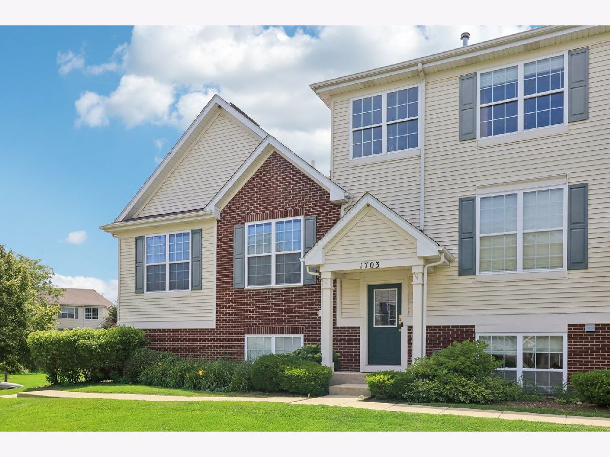Townhomes & Condos Sold Heron Bay Round Lake Illinois, 1703 Turtle Creek