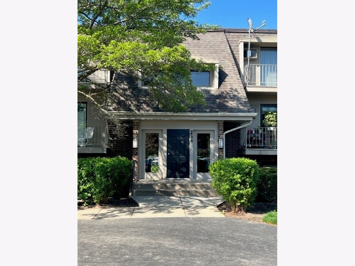 Condominiums Rented Olive Trees Naperville Illinois, 234 Bailey