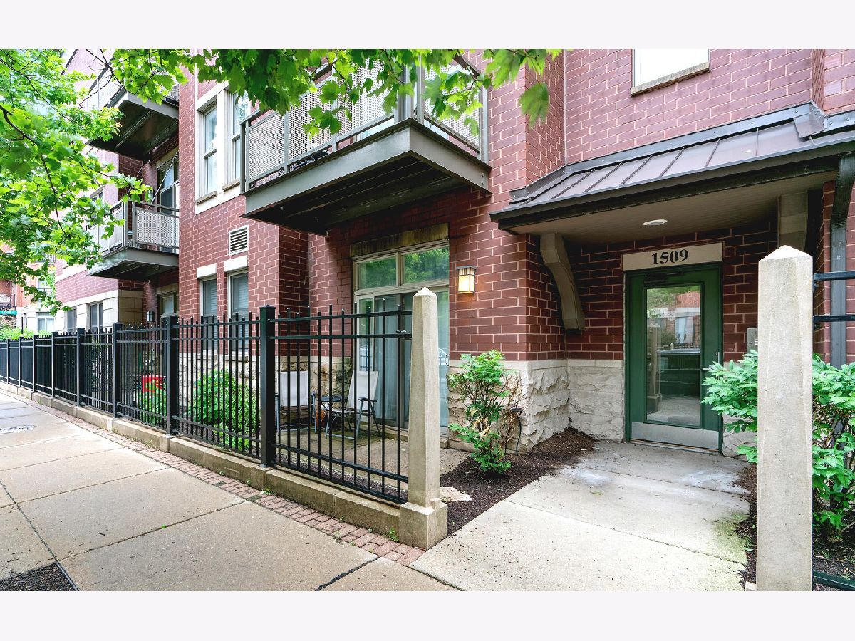 Condos & Townhomes & Homes Rented University Village Chicago Illinois, 1509 Halsted