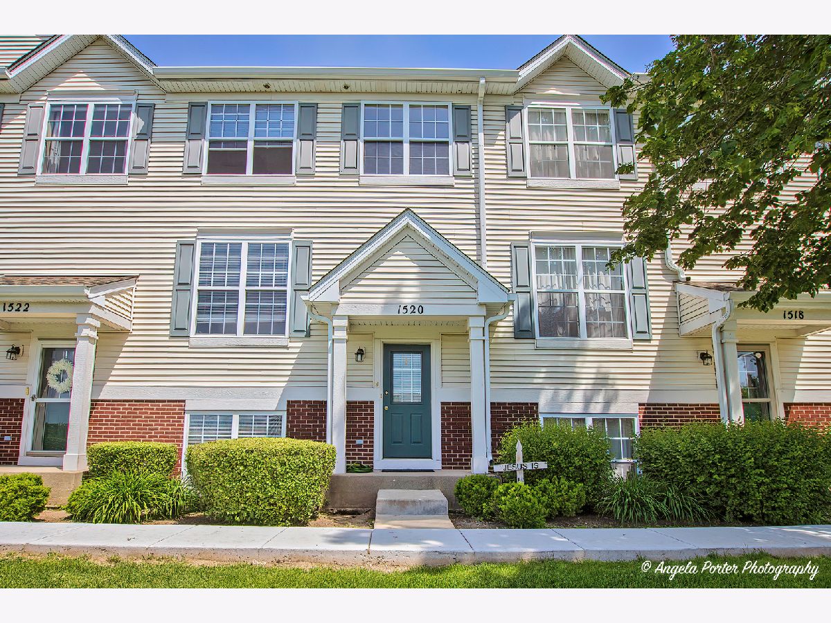 Townhomes & Condos Sold Heron Bay Round Lake Illinois, 1520 Turtle Creek