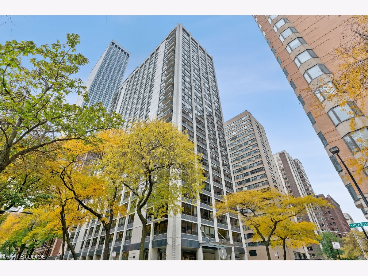 Condominiums Rented Pearson On The Park Chicago Illinois, 222 Pearson