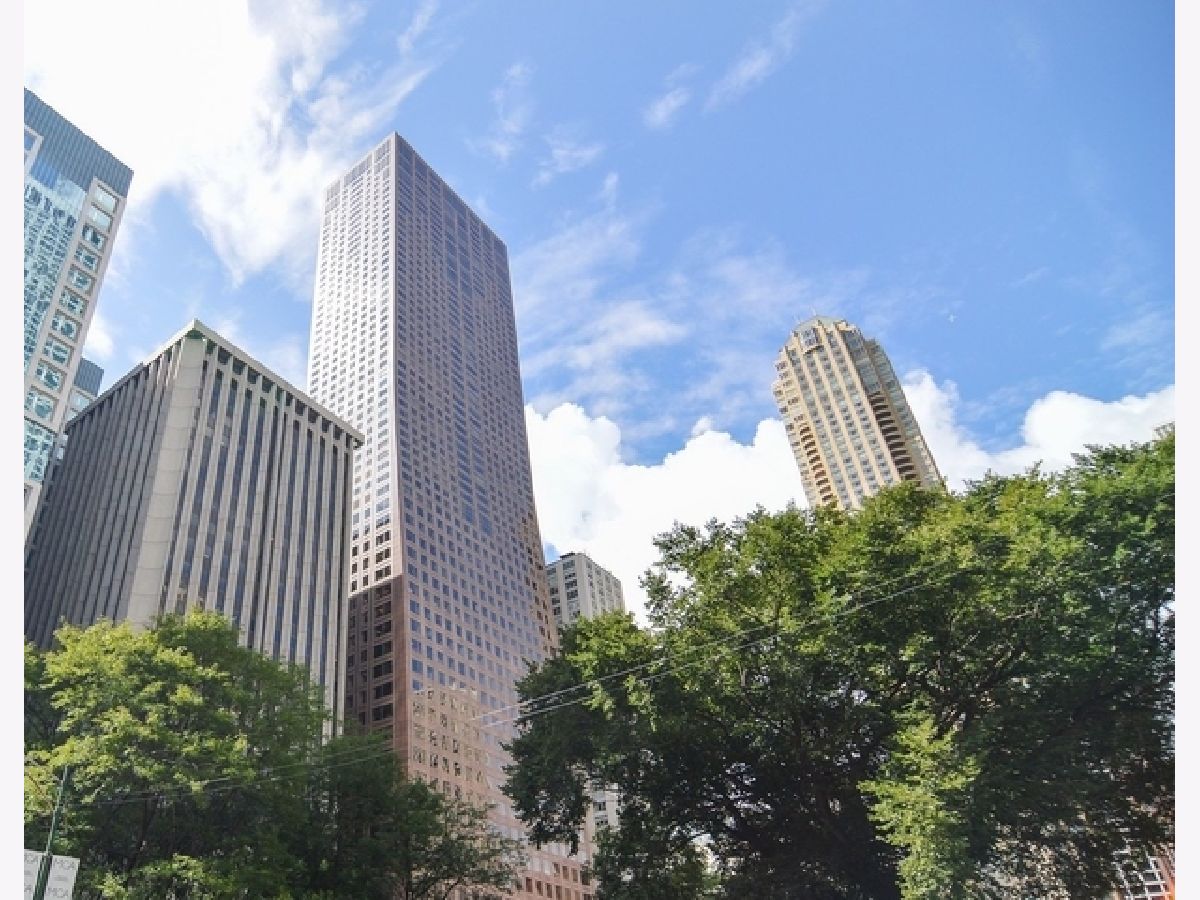 Condominiums Rented Olympia Centre Chicago Illinois, 161 Chicago