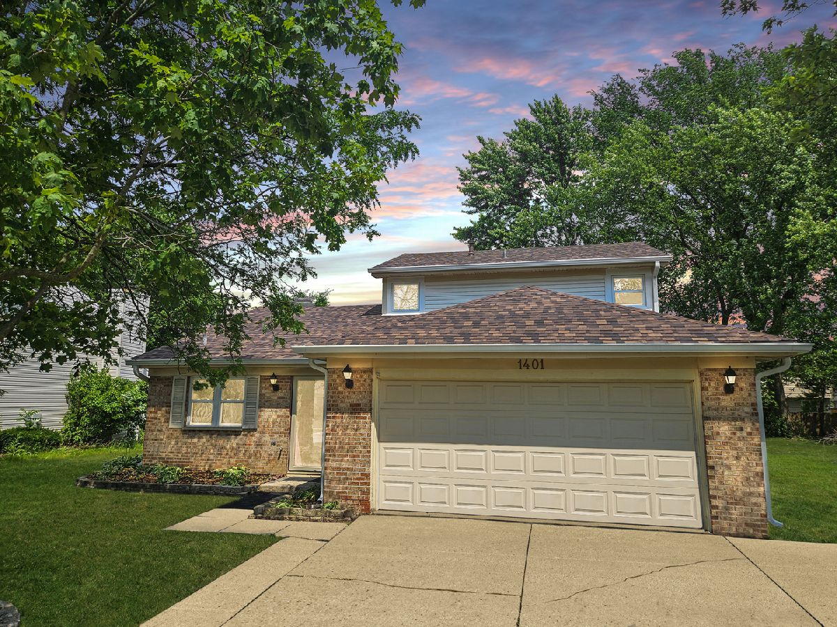 Townhomes & Homes Sold Spring Valley Carol Stream Illinois, 1401 Appomattox