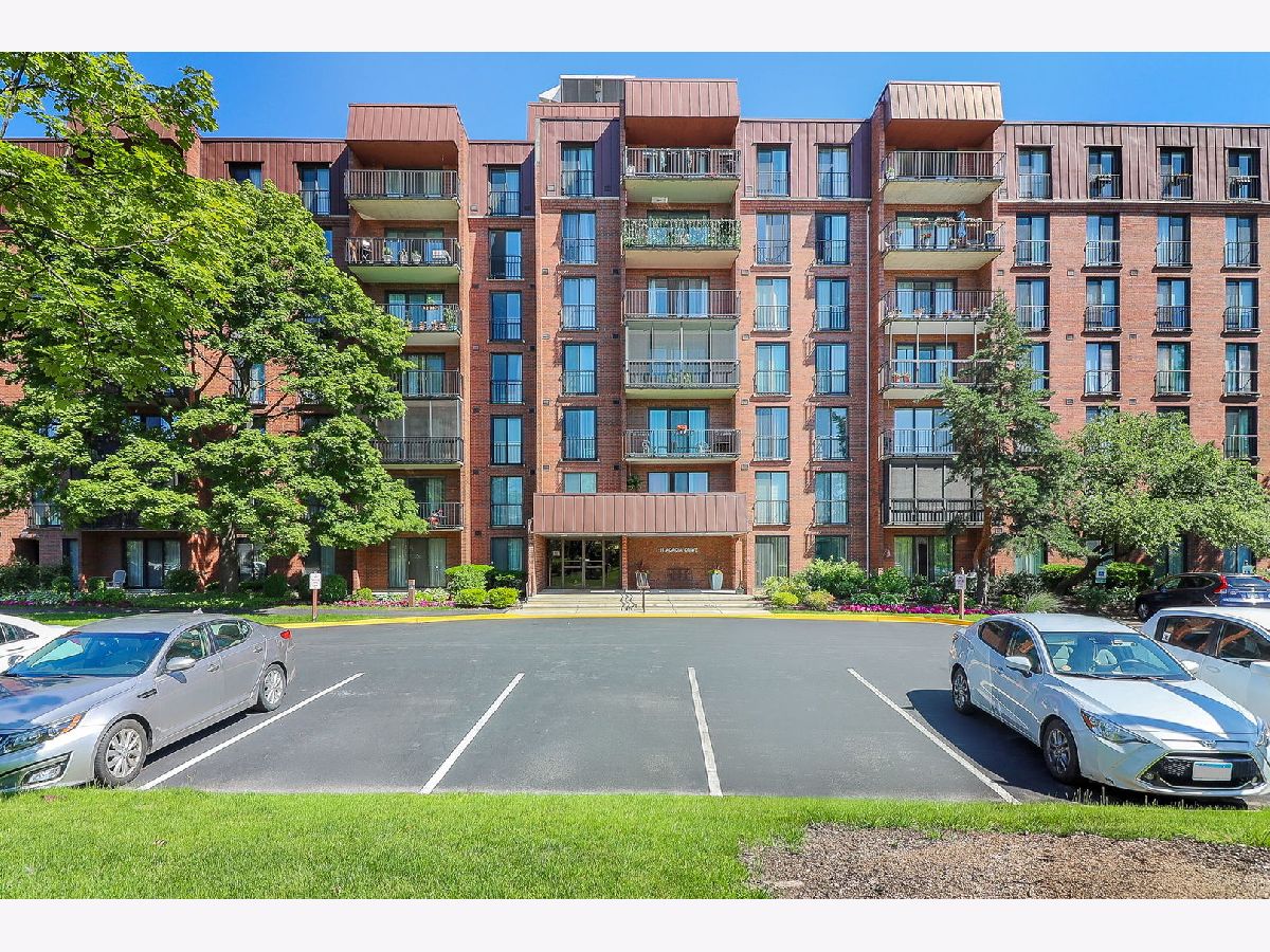 Condominiums Sold Wilshire Green Indian Head Park Illinois, 111 Acacia