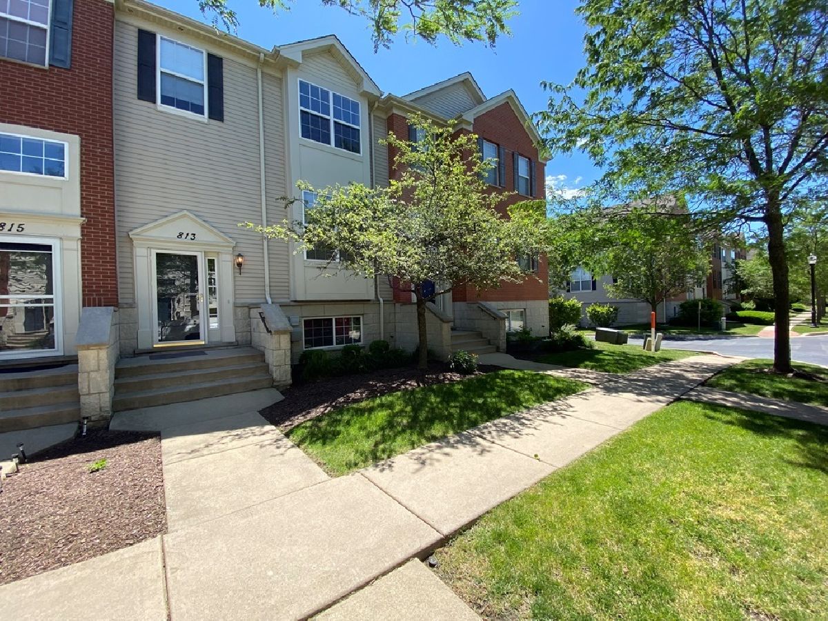 Townhomes & Condos Sold Lehigh Station Aurora Illinois, 813 Lewisburg