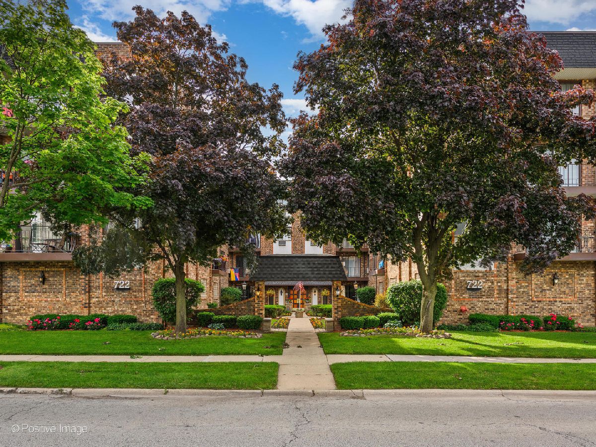 Condominiums Sold Carriage Walk Des Plaines Illinois, 722 Graceland