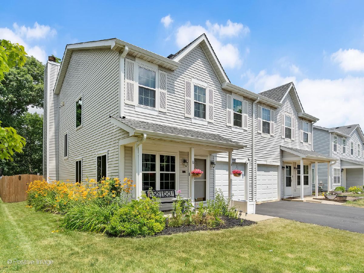 Townhomes & Homes Sold Lakewood On Caton Farm Plainfield Illinois, 2838 Sun Valley