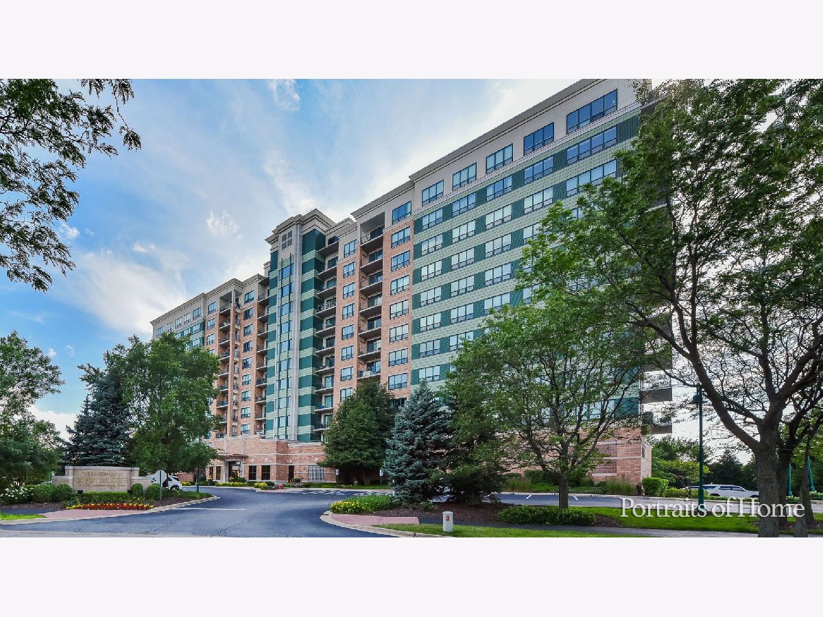 Homes & Condos & Townhomes Sold Seven Bridges Woodridge Illinois, 6420 Double Eagle