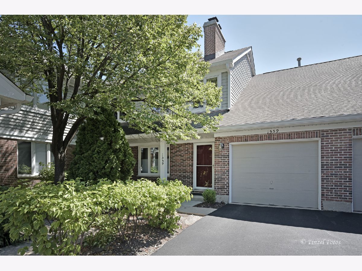 Townhomes & Condos & Homes Sold Arlington On The Ponds Arlington Heights Illinois, 1559 Courtland