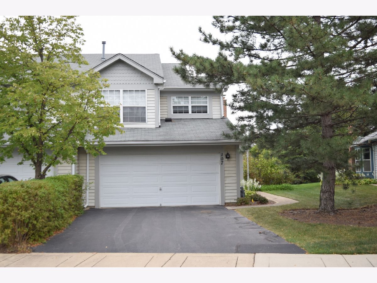 Townhomes & Homes Rented Sarahs Grove Schaumburg Illinois, 107 White Pine