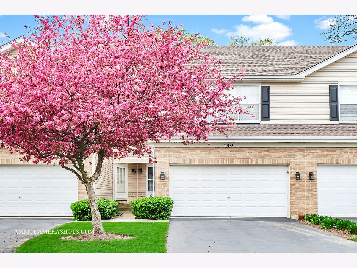 Townhomes & Condos Rented Park Avenue Aurora Illinois, 2389 Stoughton
