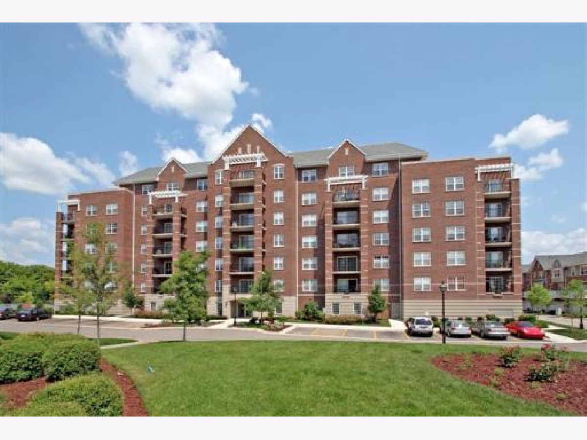 Condos & Townhomes Sold The Groves Of Palatine Palatine Illinois, 410 Mahogany