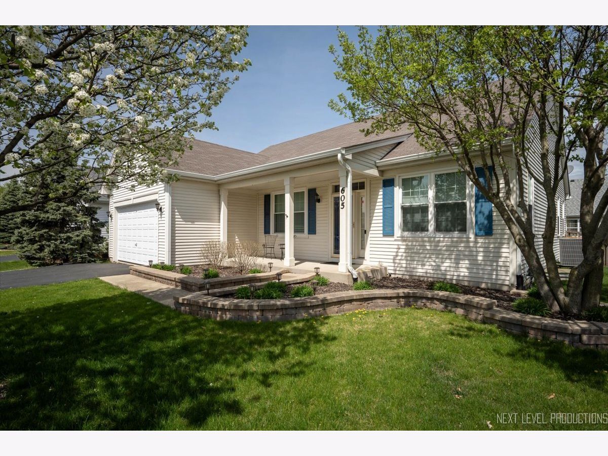 Homes & Condos & Townhomes Sold Steeplechase Oswego Illinois, 605 Queen