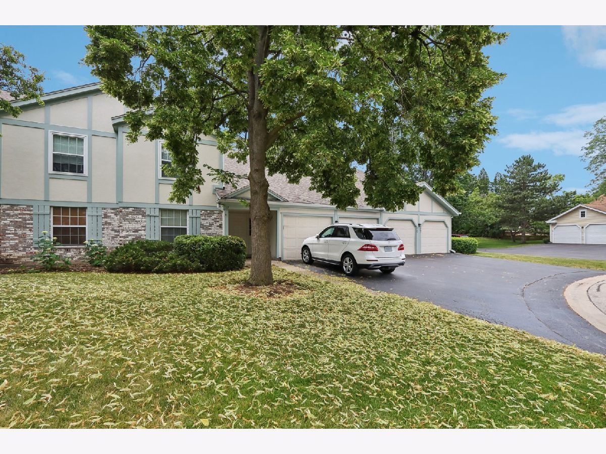 Condos & Townhomes Sold Lexington In The Park Buffalo Grove Illinois, 203 Blossom