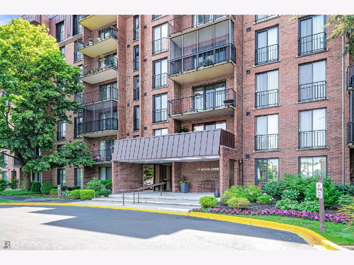 Condominiums Sold Wilshire Green Indian Head Park Illinois, 111 Acacia