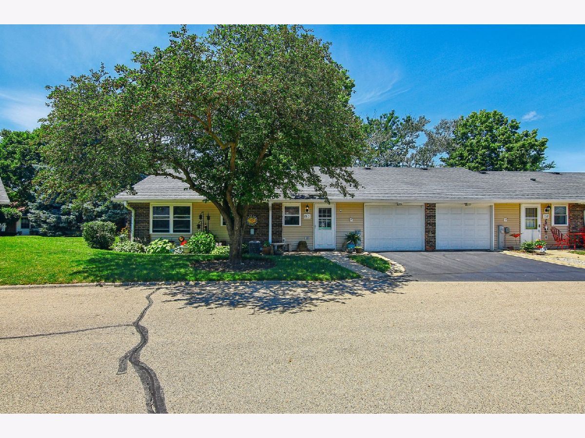 Townhomes & Condos Sold Leisure Village Fox Lake Illinois, 7315 Custer