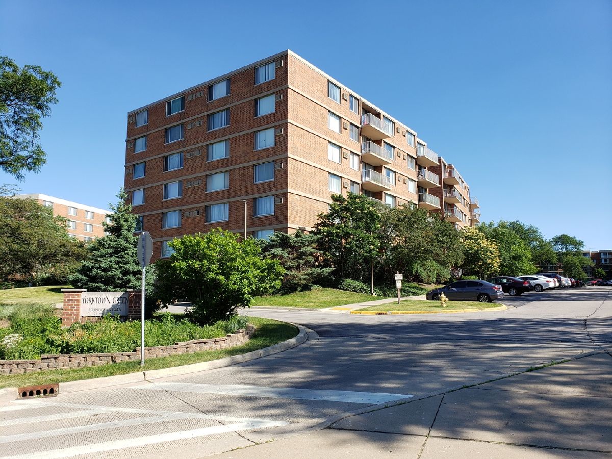 Condominiums Rented Yorktown Green Lombard Illinois, 2201 Stewart