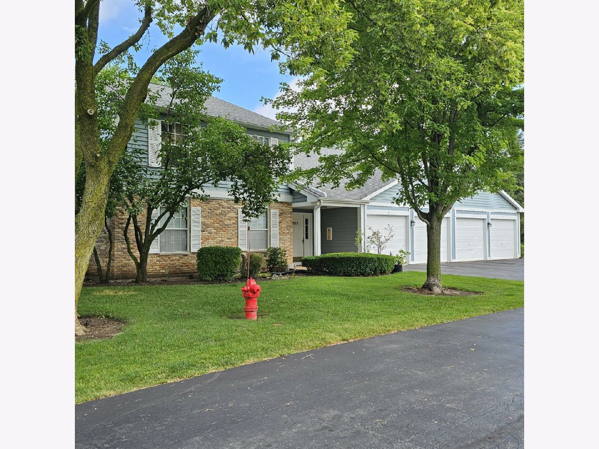Condos & Townhomes Sold Crestview Estates Wauconda Illinois, 223 Brett