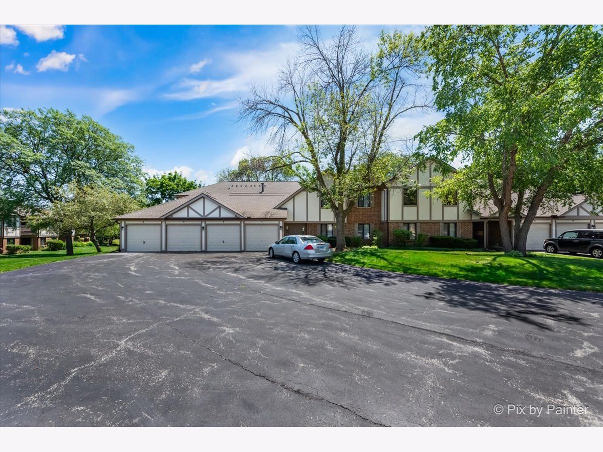 Condominiums Sold Deerpath Manor Palatine Illinois, 1009 Kevin