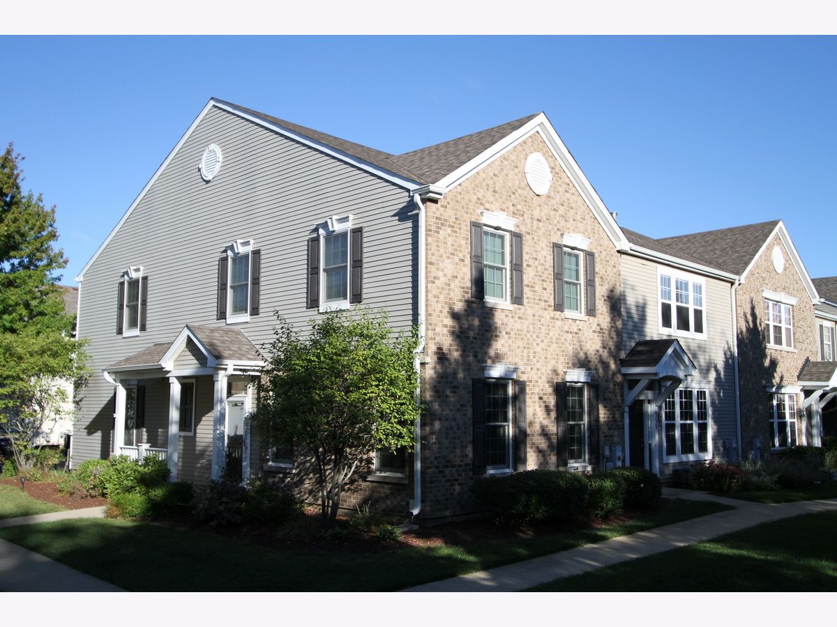 Townhomes Rented Springbrook Trails Oswego Illinois, 351 Springbrook