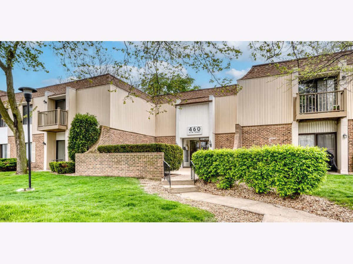Condominiums & Homes Sold Farmingdale North Downers Grove Illinois, 460 74th