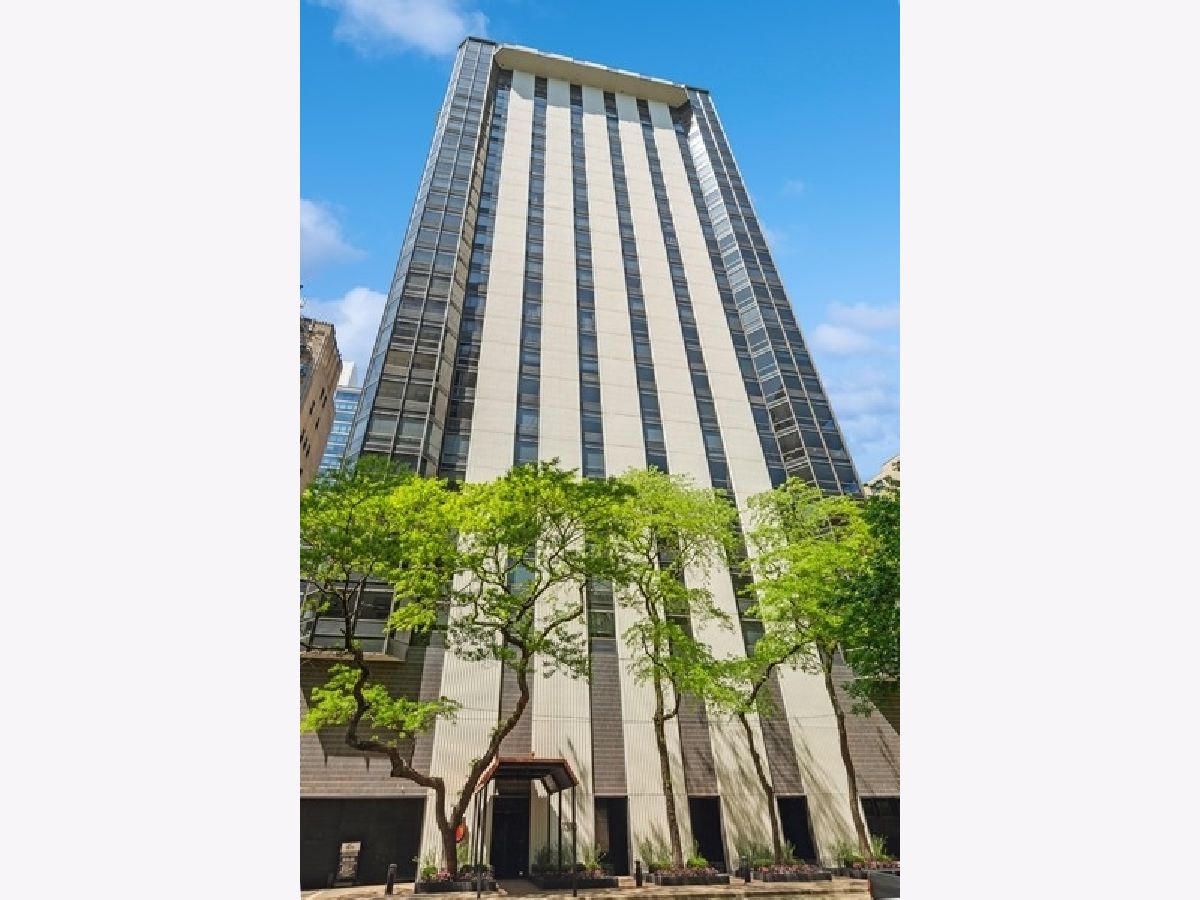 Condominiums Rented Ritchie Tower Chicago Illinois, 1310 Ritchie