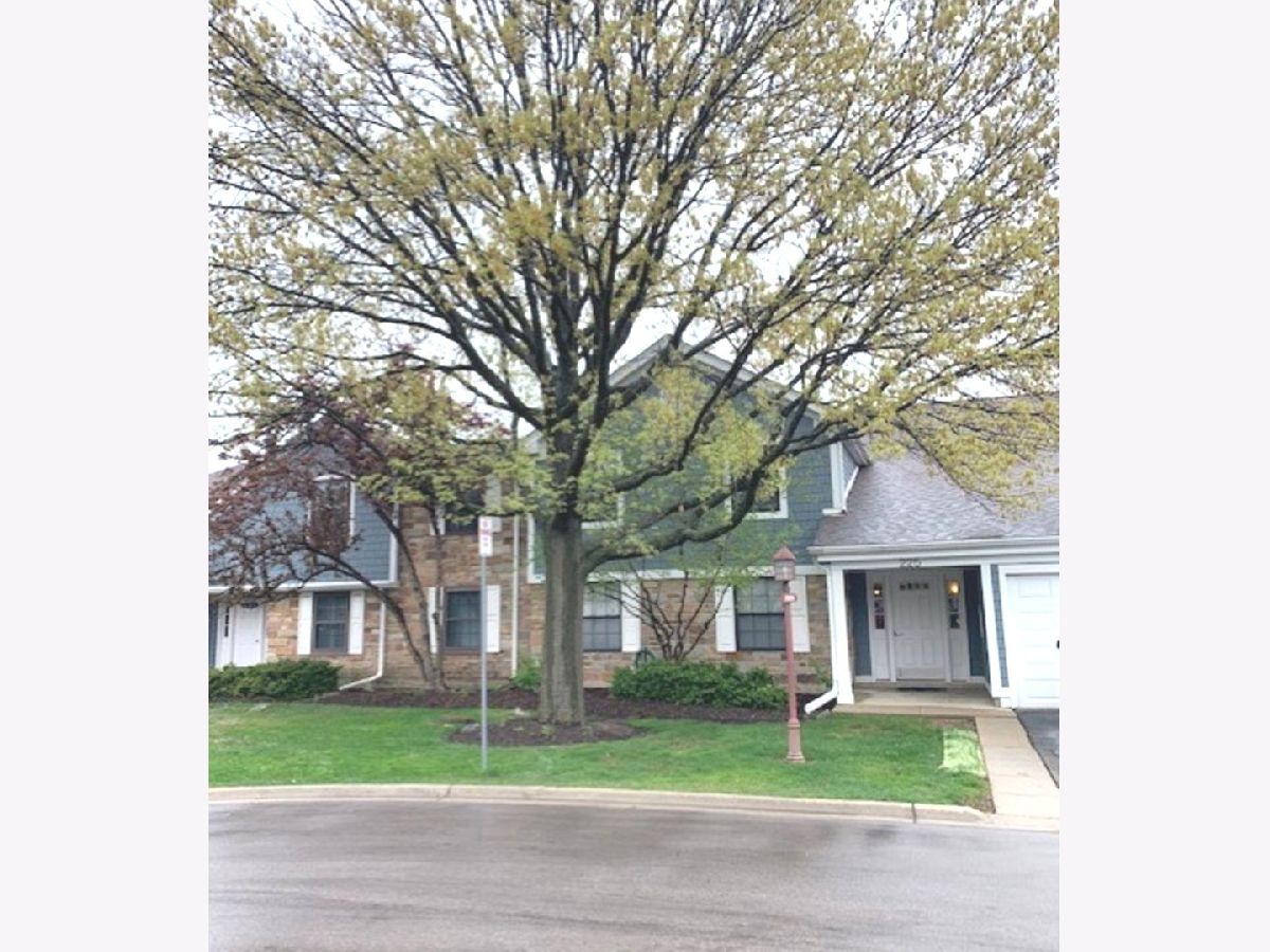 Condos & Townhomes Rented Lexington Green Schaumburg Illinois, 225 Deerpath