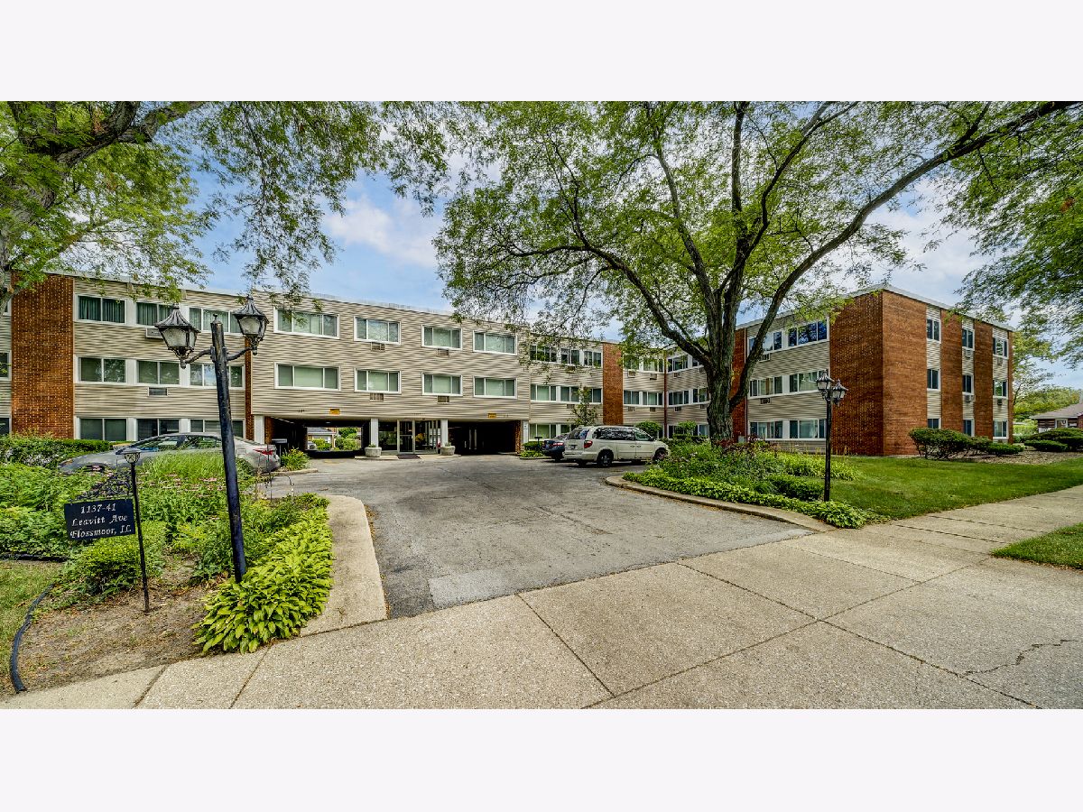 Condos & Townhomes Sold Hawthorne Condos Flossmoor Illinois, 1139 Leavitt