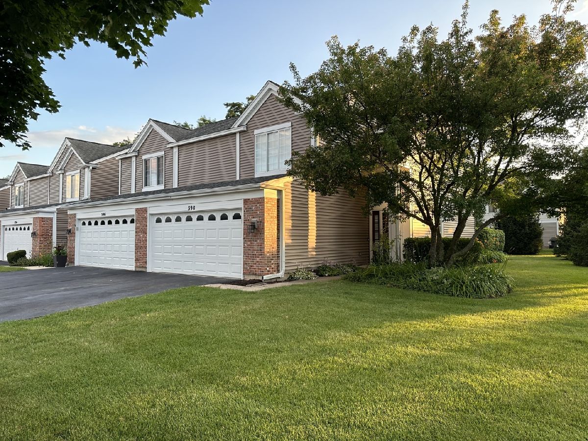 Townhomes & Condos & Homes Rented Amber Grove Bartlett Illinois, 398 Snow Drift