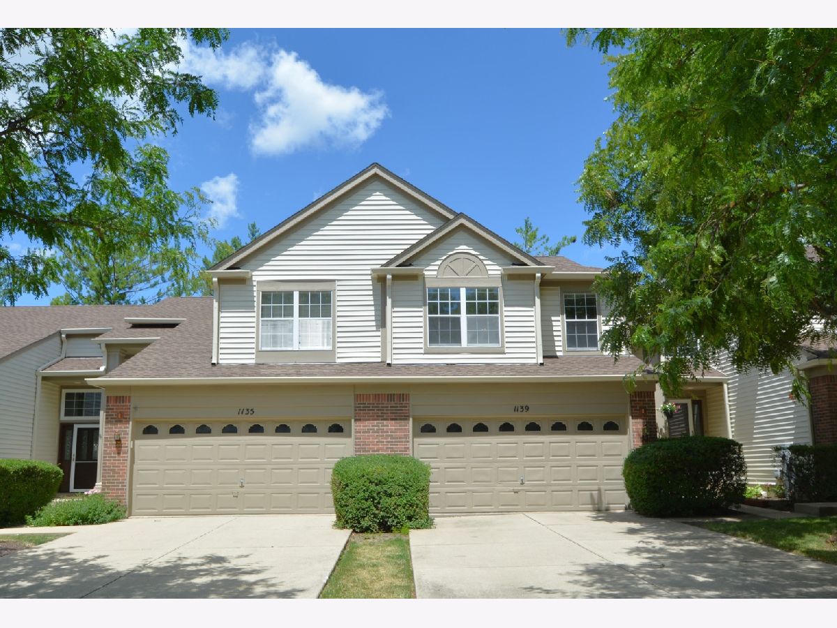 Townhomes & Homes Rented Copperfield Naperville Illinois, 1139 Wickfield