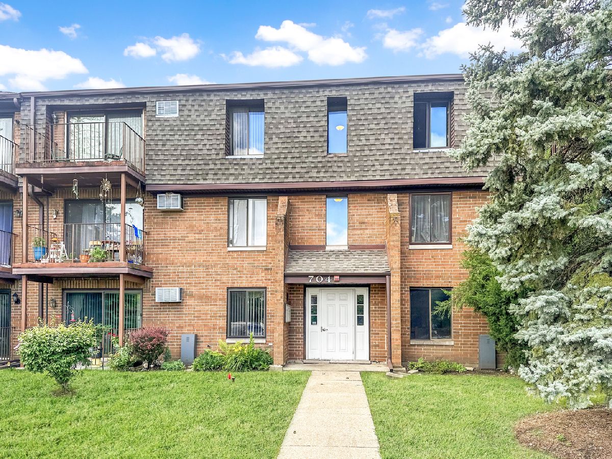 Condominiums Sold Briar Hill Addison Illinois, 704 Briar Hill