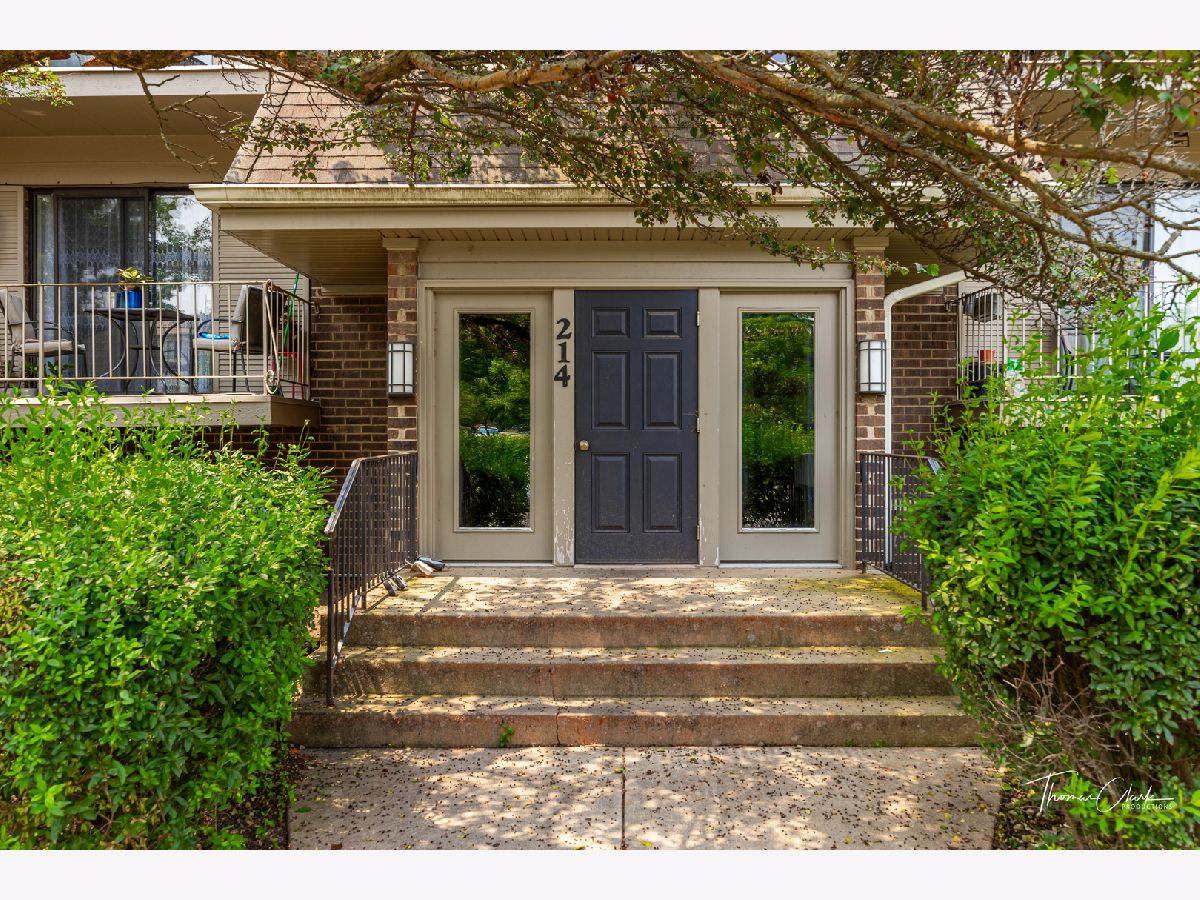 Condominiums Rented Olive Trees Naperville Illinois, 214 Bailey