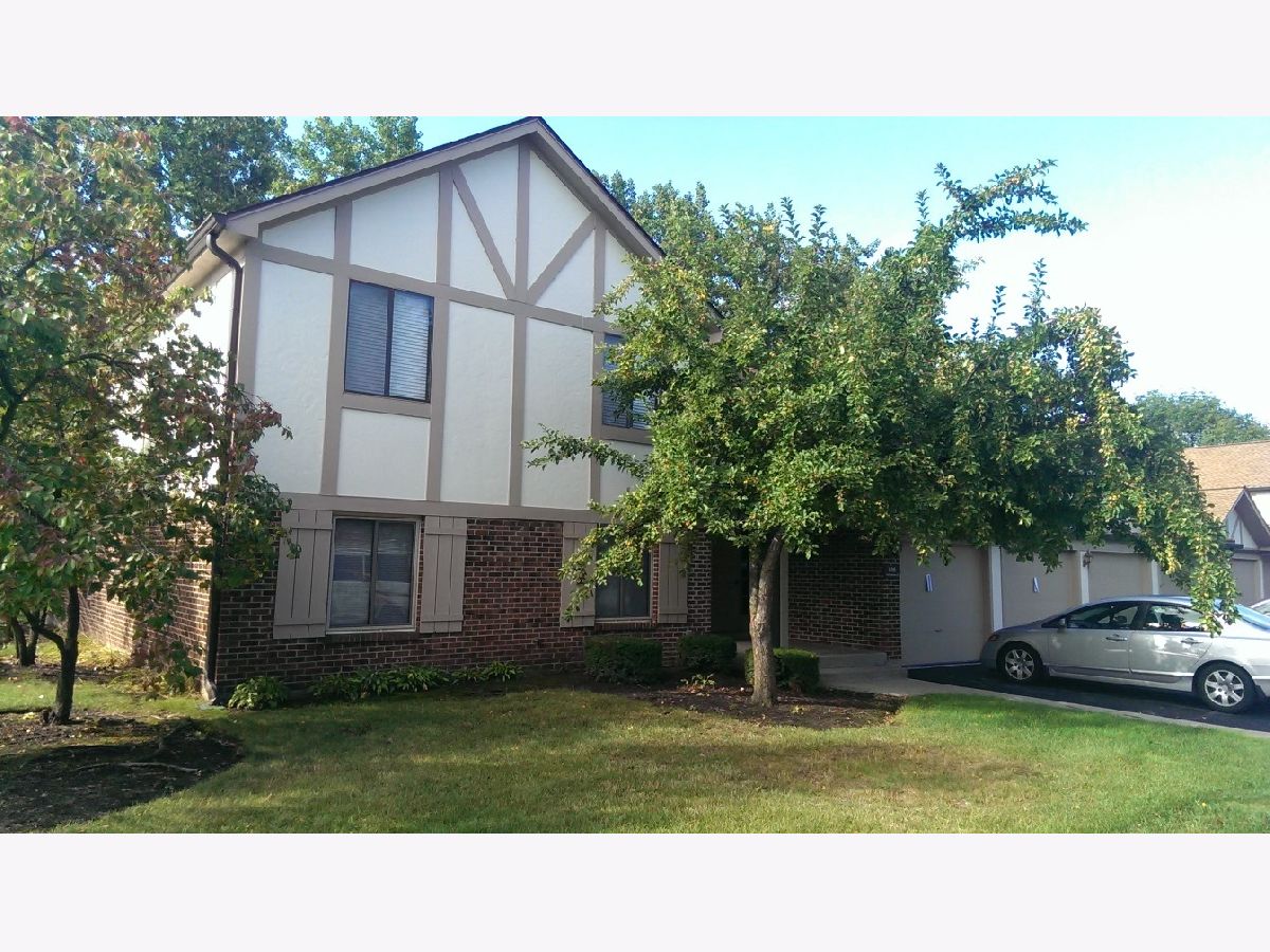 Condominiums & Homes Rented Kingsport Estates Schaumburg Illinois, 905 Knottingham