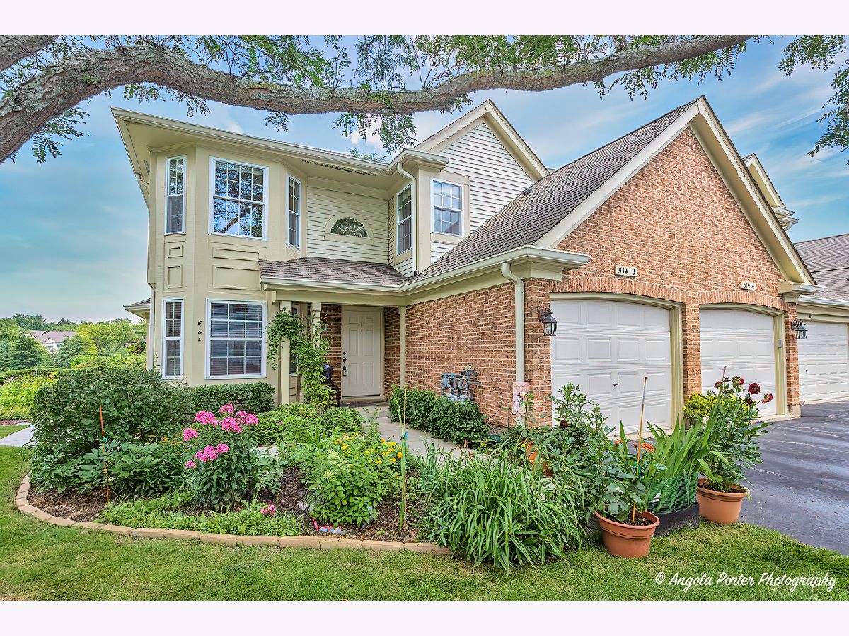 Townhomes & Condos & Homes Sold Essex Village Crystal Lake Illinois, 514B Palm