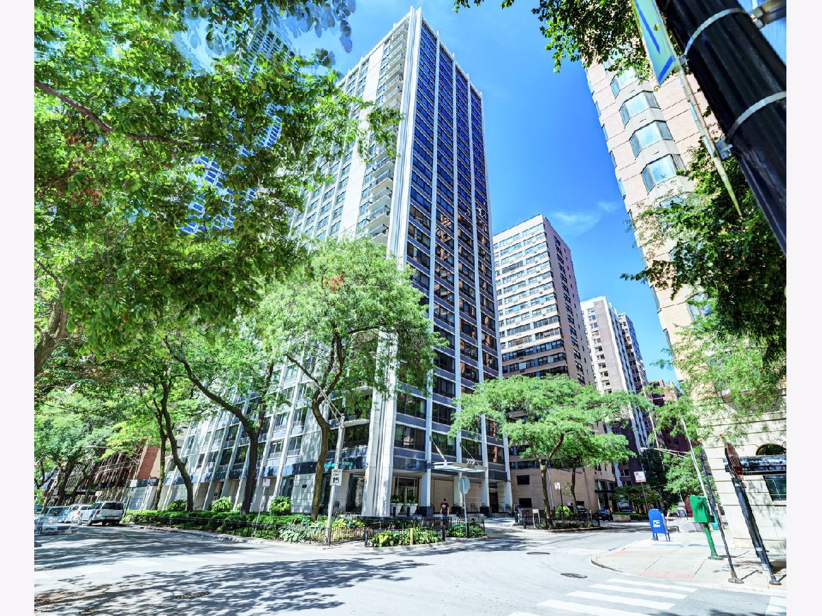 Condominiums Rented Pearson On The Park Chicago Illinois, 222 Pearson