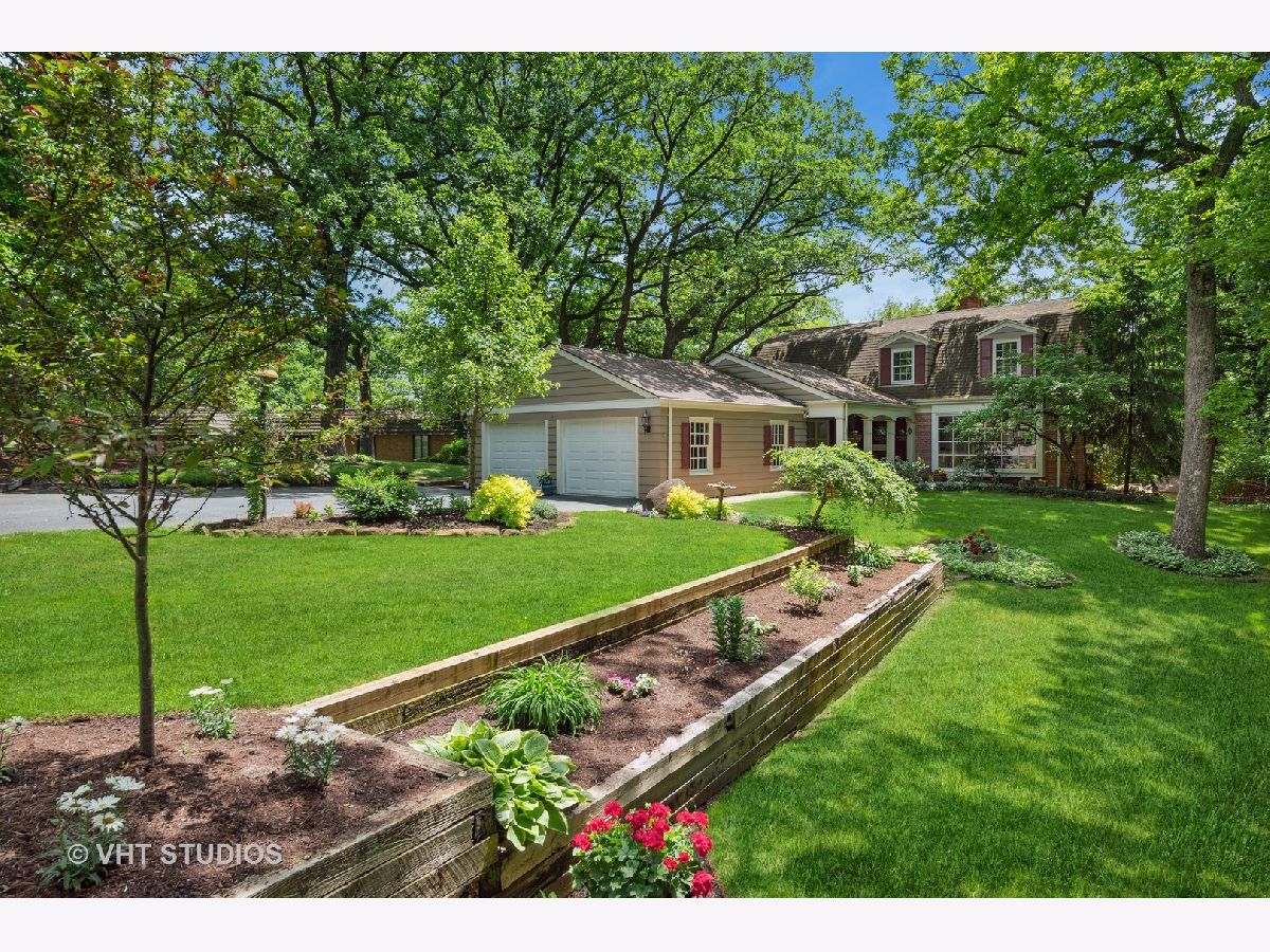  Rented Trout Valley Illinois, 15 Willet