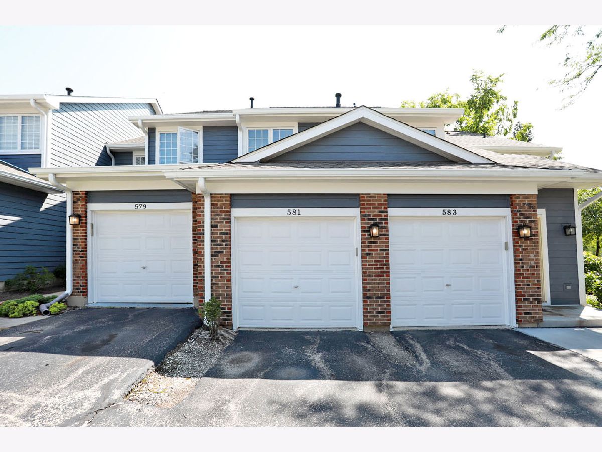 Townhomes & Condos & Homes Rented Parkside On The Green Palatine Illinois, 581 Parkside