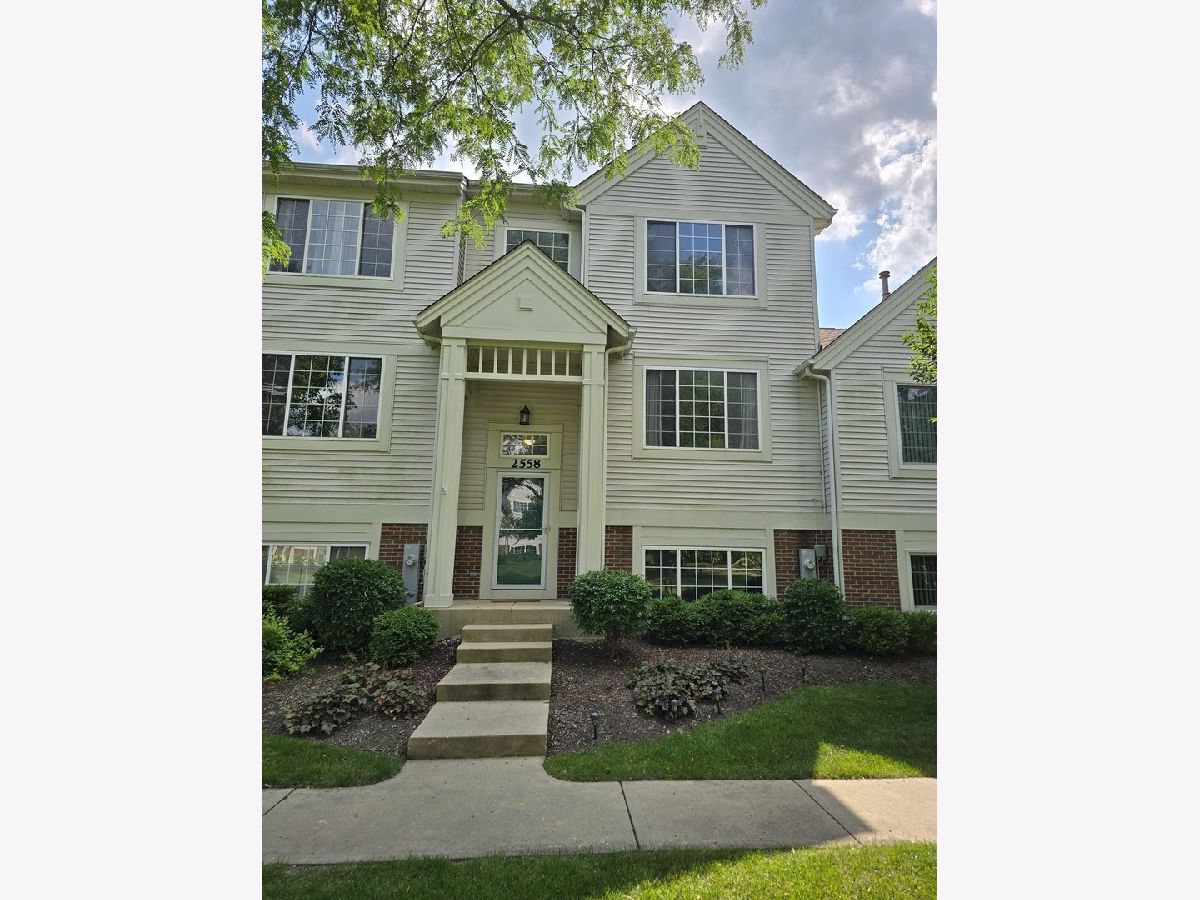Homes & Townhomes & Condos Rented Mulberry Grove Elgin Illinois, 2558 Hatfield